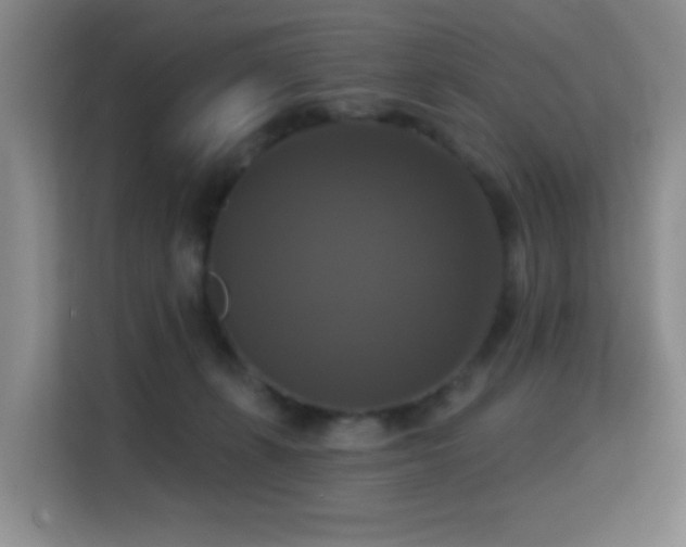 X0000114720271200910211353