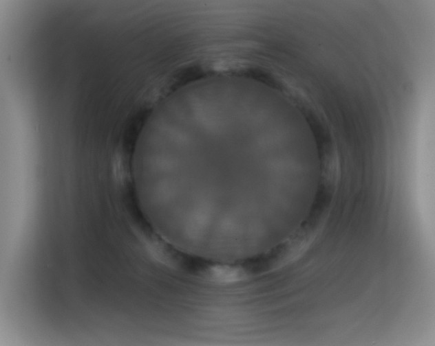 X0000114720272200910211353