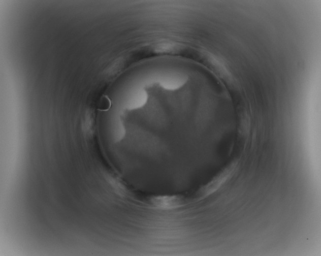 X0000114720273200910211353