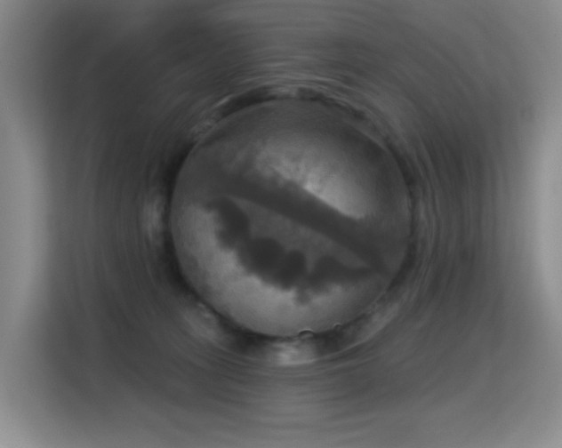 X0000114720275200910211353