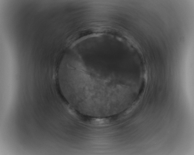 X0000114720277200910211353