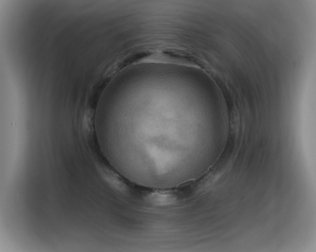 X0000114720280200910211353