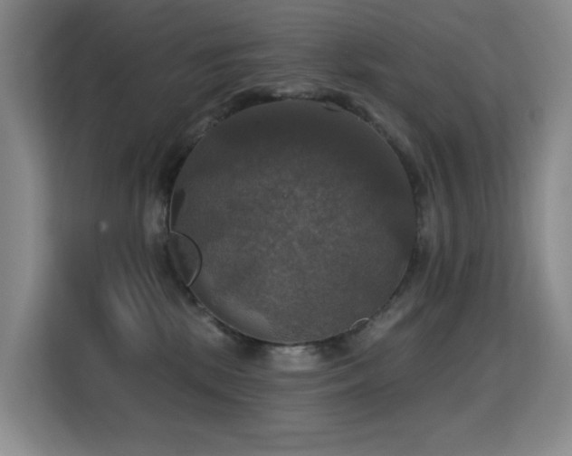 X0000114720281200910211353