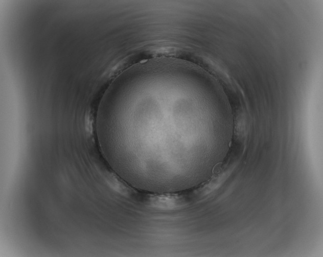 X0000114720282200910211353