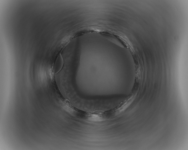 X0000114720285200910211353