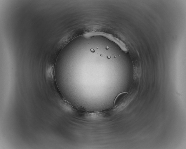 X0000114720286200910211353