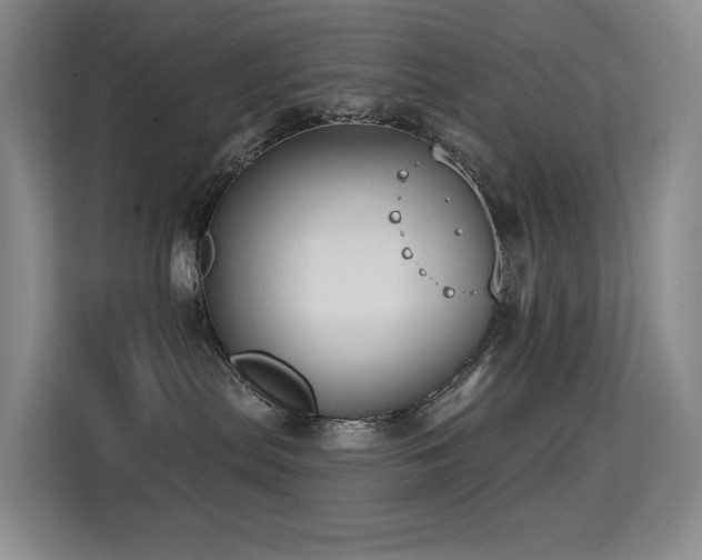 X0000114720287200910211353