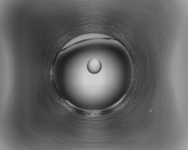 X0000114720288200910211353