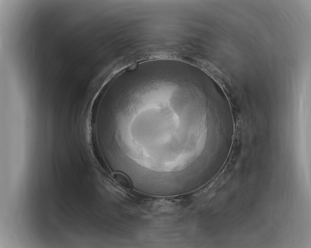 X0000114720290200910211353