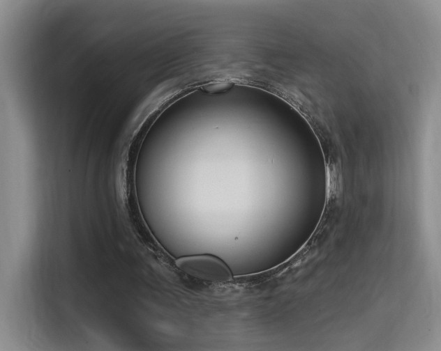 X0000114720291200910211352