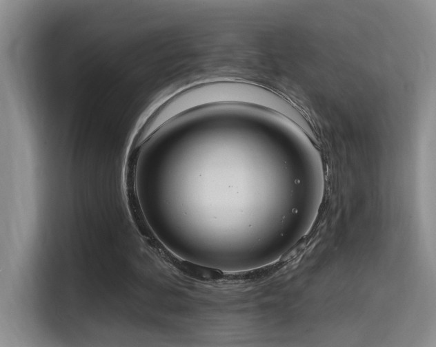 X0000114720292200910211352