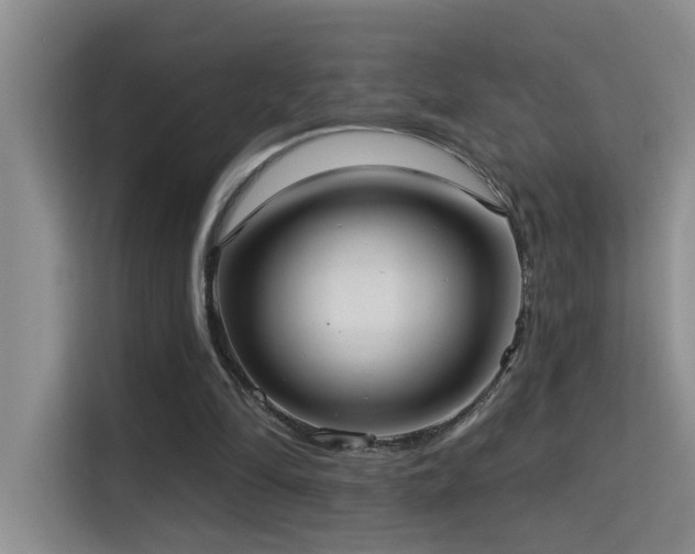 X0000114720294200910211352