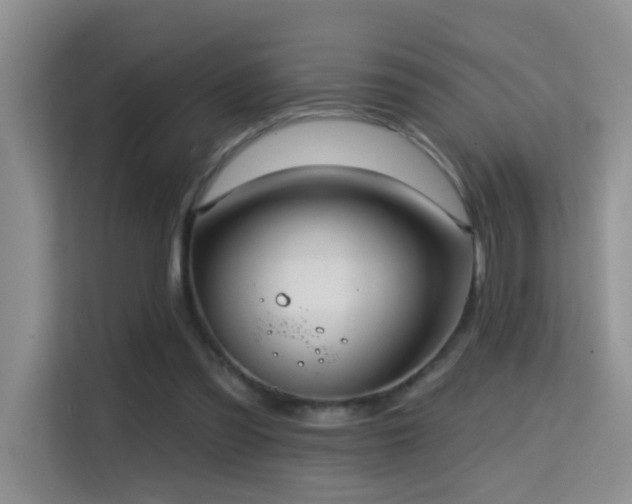 X0000114720301200910211352