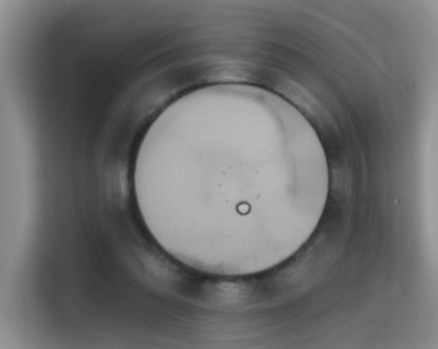 X0000114720302200910211352