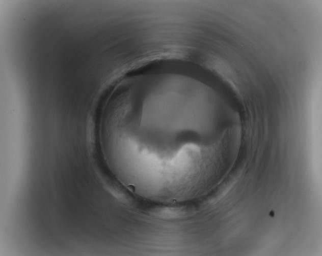 X0000114720303200910211352