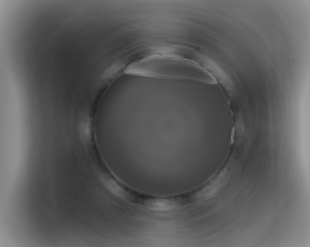 X0000114720305200910211352