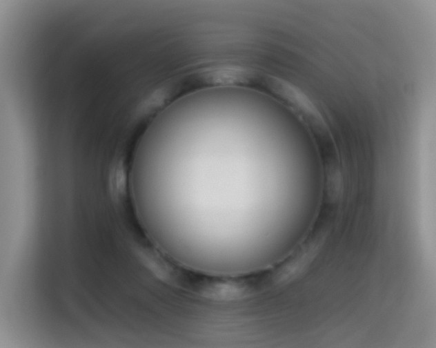 X0000114720310200910211352