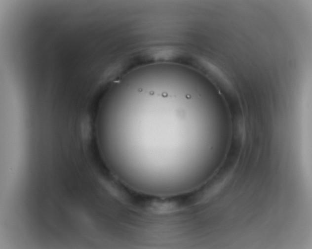 X0000114720311200910211352