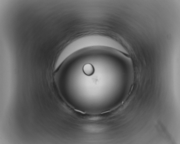 X0000114720313200910211352