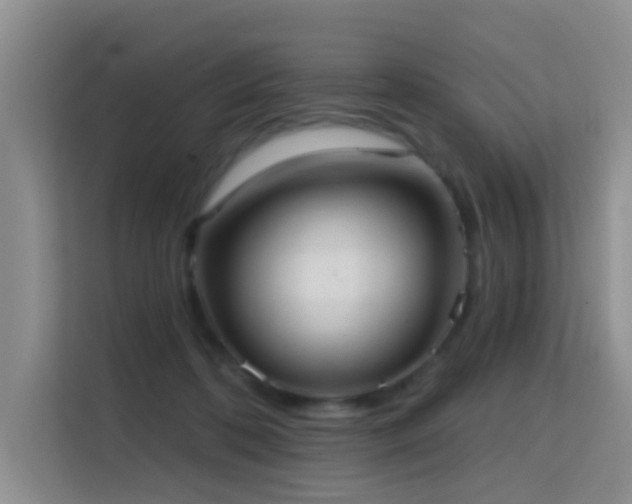 X0000114720316200910211352