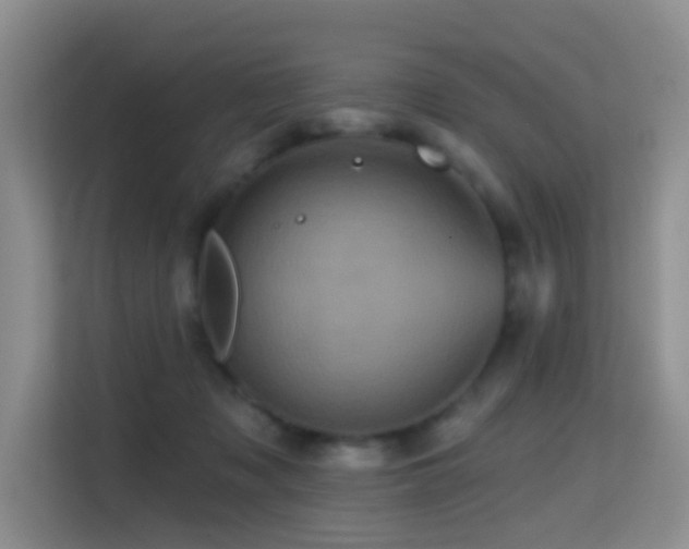 X0000114720317200910211352