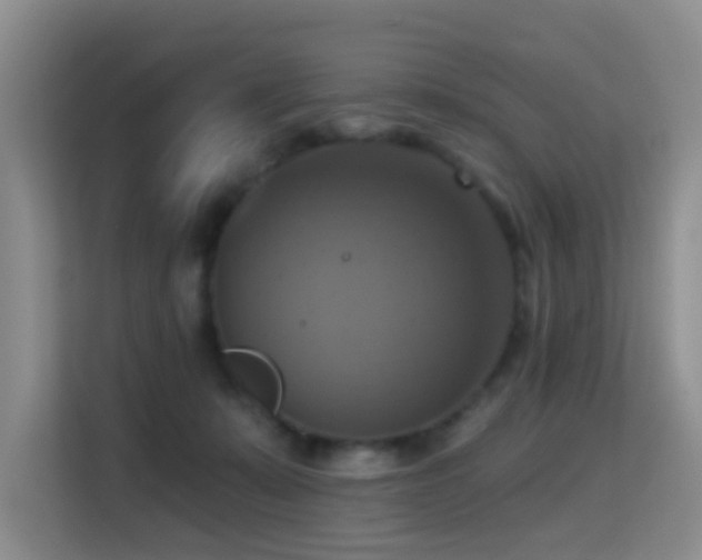 X0000114720319200910211352