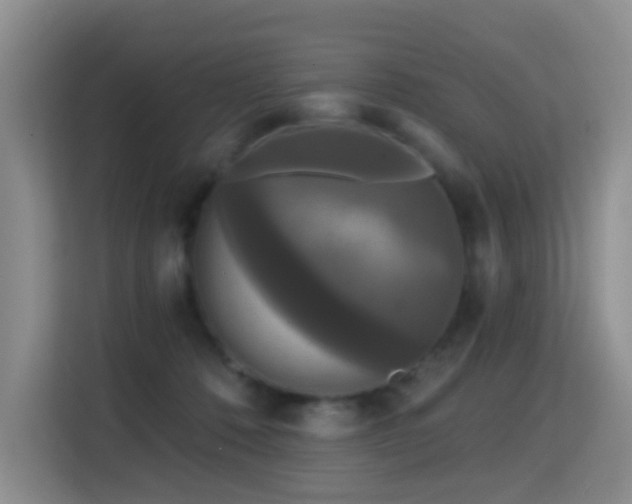 X0000114720320200910211352