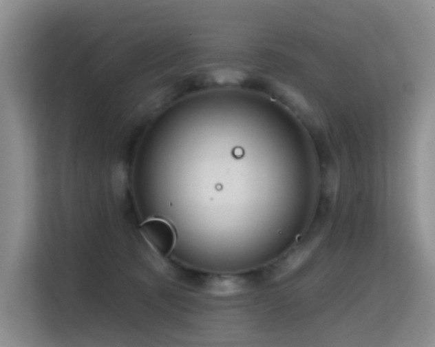 X0000114720321200910211352