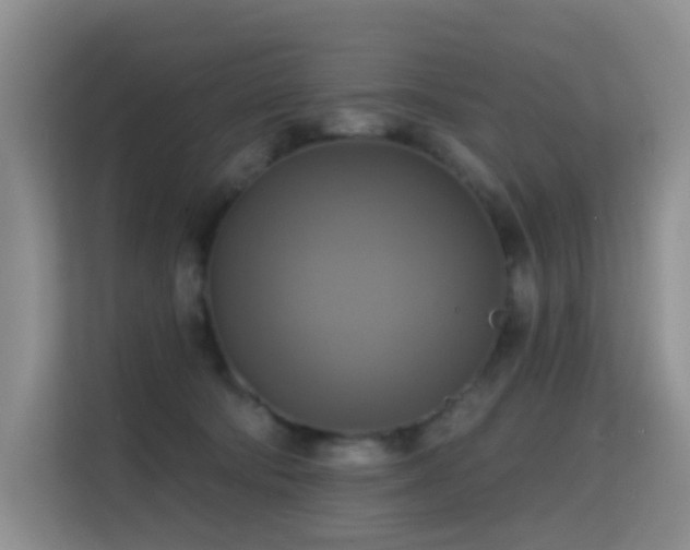 X0000114720322200910211352