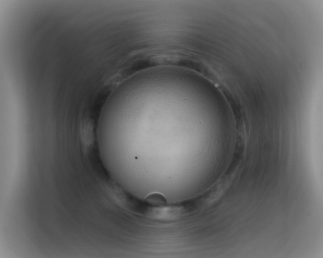 X0000114720323200910211352