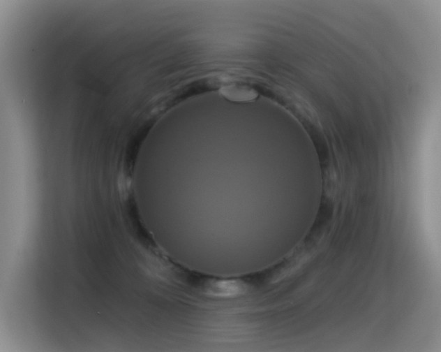 X0000114720324200910211352