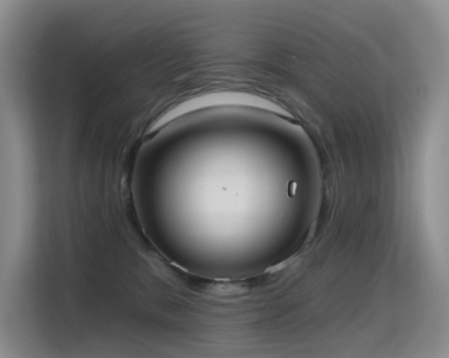 X0000114720327200910211352