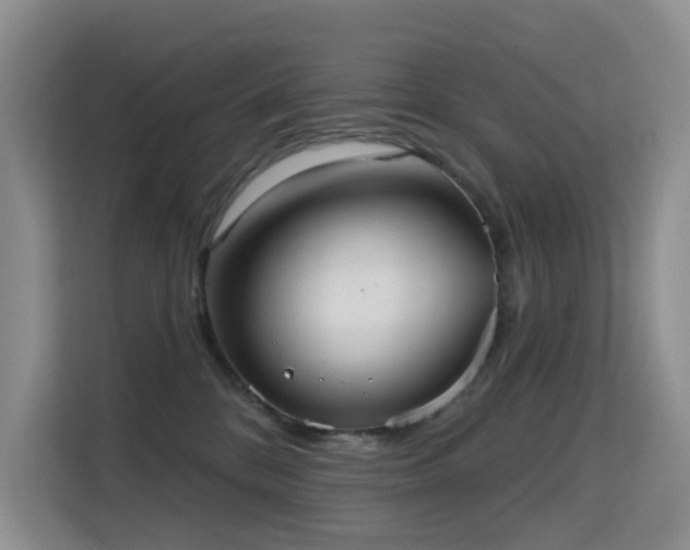 X0000114720328200910211352