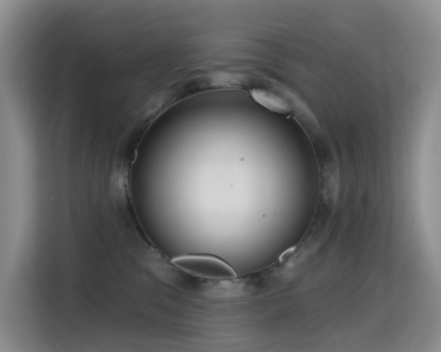 X0000114720329200910211352