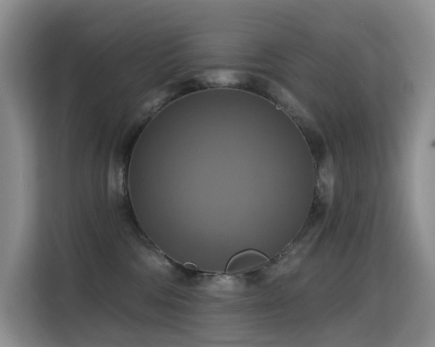 X0000114720330200910211352