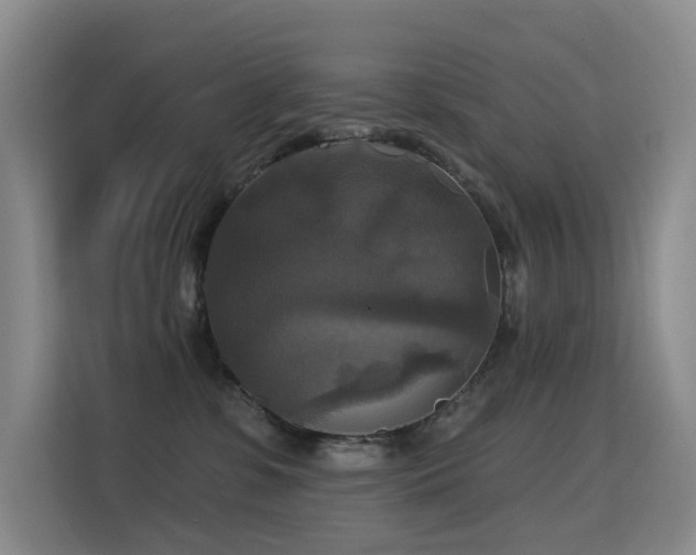 X0000114720331200910211352