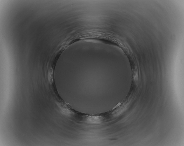 X0000114720332200910211352