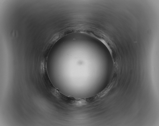 X0000114720333200910211352