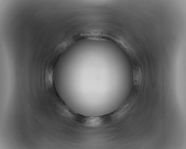 X0000114720334200910211352