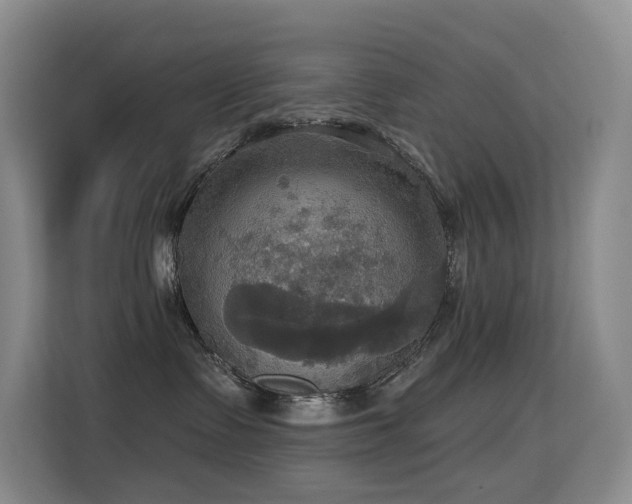 X0000114720335200910211352