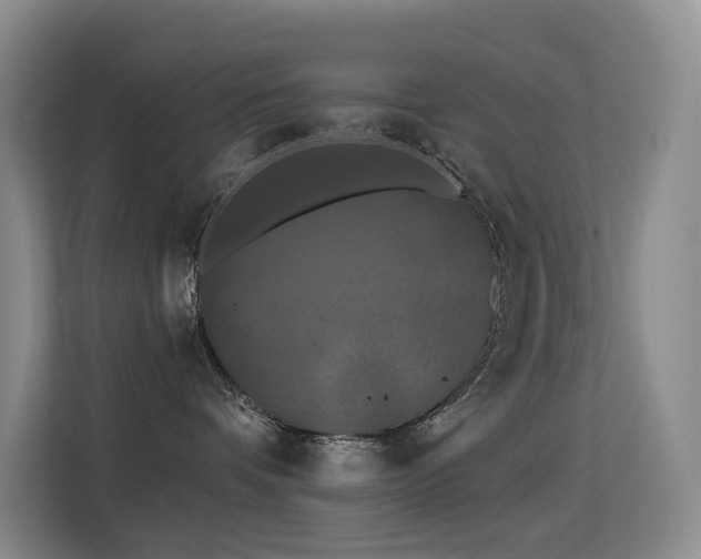 X0000114720336200910211352