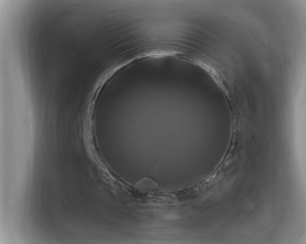 X0000114720337200910211351