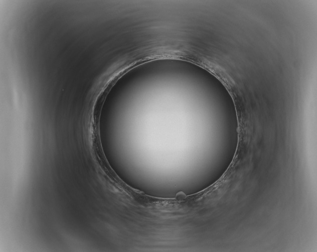 X0000114720338200910211351