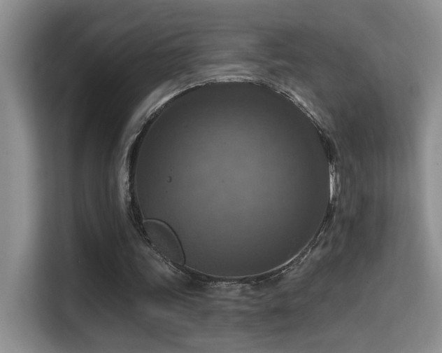 X0000114720339200910211351