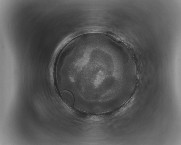 X0000114720341200910211351