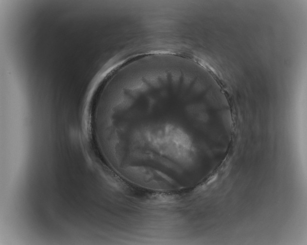 X0000114720343200910211351