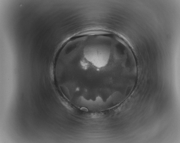 X0000114720345200910211351