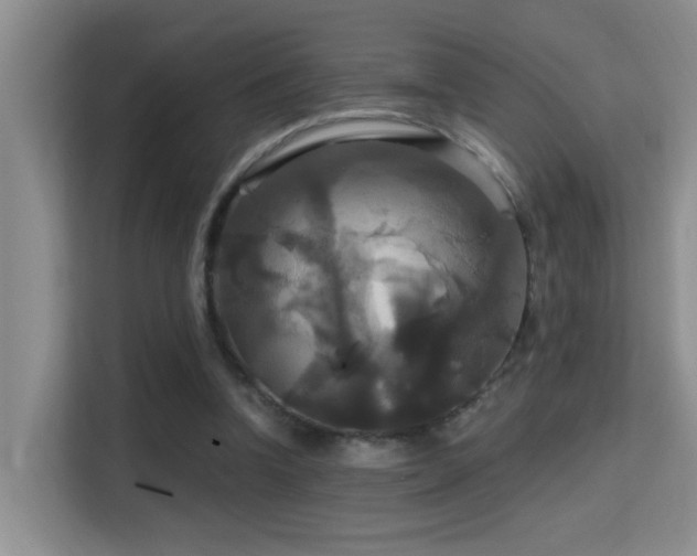 X0000114720346200910211351