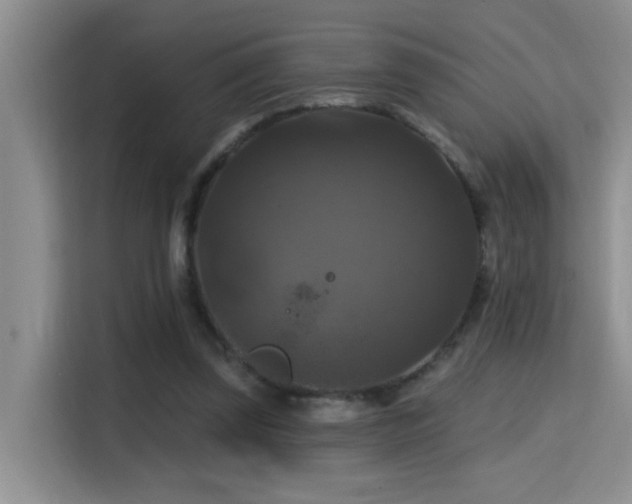 X0000114720347200910211351