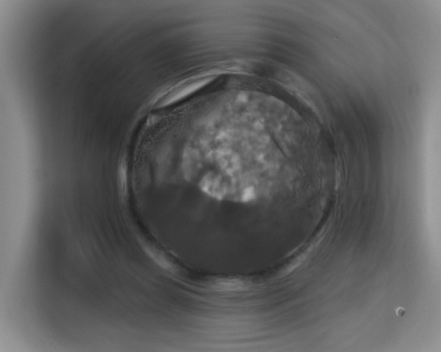 X0000114720349200910211351